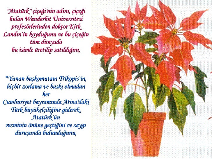 bunlari biliyor muydunuz