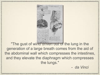 "The gust of wind driven out of the lung in the
 generation of a large breath comes from the aid of
the abdominal wall which compresses the intestines,
 and they elevate the diaphragm which compresses
                     the lungs."
                                        - da Vinci
 