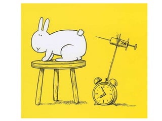 Bunny Suicides | PPT