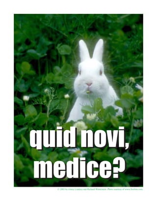 quid novi,
medice?
  © 2003 by Ginny Lindzey and Richard Winterstein. Photo courtesy of www.freefoto.com.
 