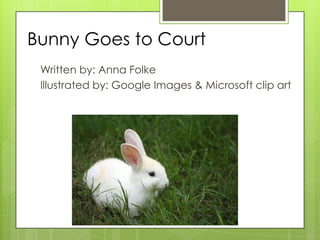 Bunny Goes to Court
Written by: Anna Folke
Illustrated by: Google Images & Microsoft clip art

 
