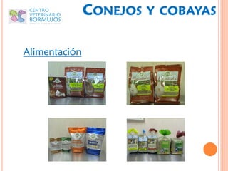 CONEJOS   Y COBAYAS


Alimentación
 