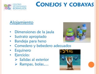 CONEJOS        Y COBAYAS


Alojamiento

•   Dimensiones de la jaula
•   Sustrato apropiado
•   Bandeja para heno
•   Comedero y bebedero adecuados
•   Esquinero
•   Ejercicio:
     Salidas al exterior
     Rampas, bolas,…
 