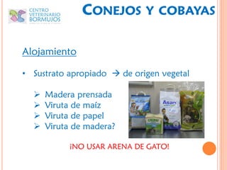 CONEJOS        Y COBAYAS


Alojamiento

• Sustrato apropiado  de origen vegetal

     Madera prensada
     Viruta de maíz
     Viruta de papel
     Viruta de madera?

           ¡NO USAR ARENA DE GATO!
 