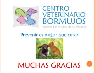 Prevenir es mejor que curar




MUCHAS GRACIAS
 