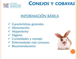 CONEJOS          Y COBAYAS

         INFORMACIÓN BÁSICA

   Características generales
   Alimentación
   Alojamiento
   Higiene
   Curiosidades y manejo
   Enfermedades más comunes
   Recomendaciones
 