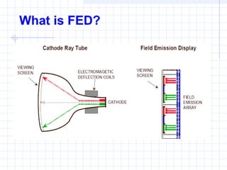 What is FED?
 