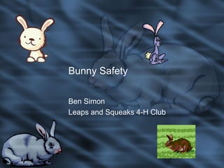 Bunny Safety Ben Simon Leaps and Squeaks 4-H Club 