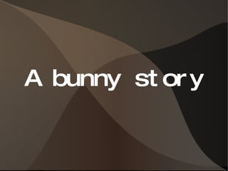 A bunny story 