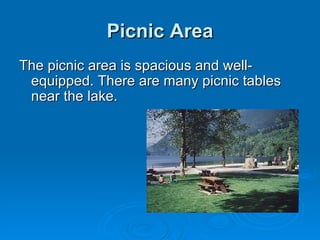 Picnic Area The picnic area is spacious and well-equipped. There are many picnic tables near the lake. 