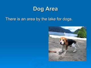 Dog Area There is an area by the lake for dogs. 