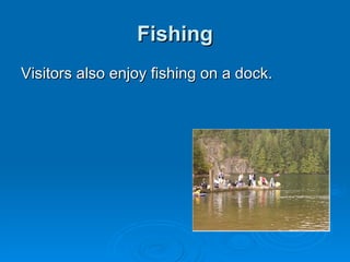 Fishing Visitors also enjoy fishing on a dock. 