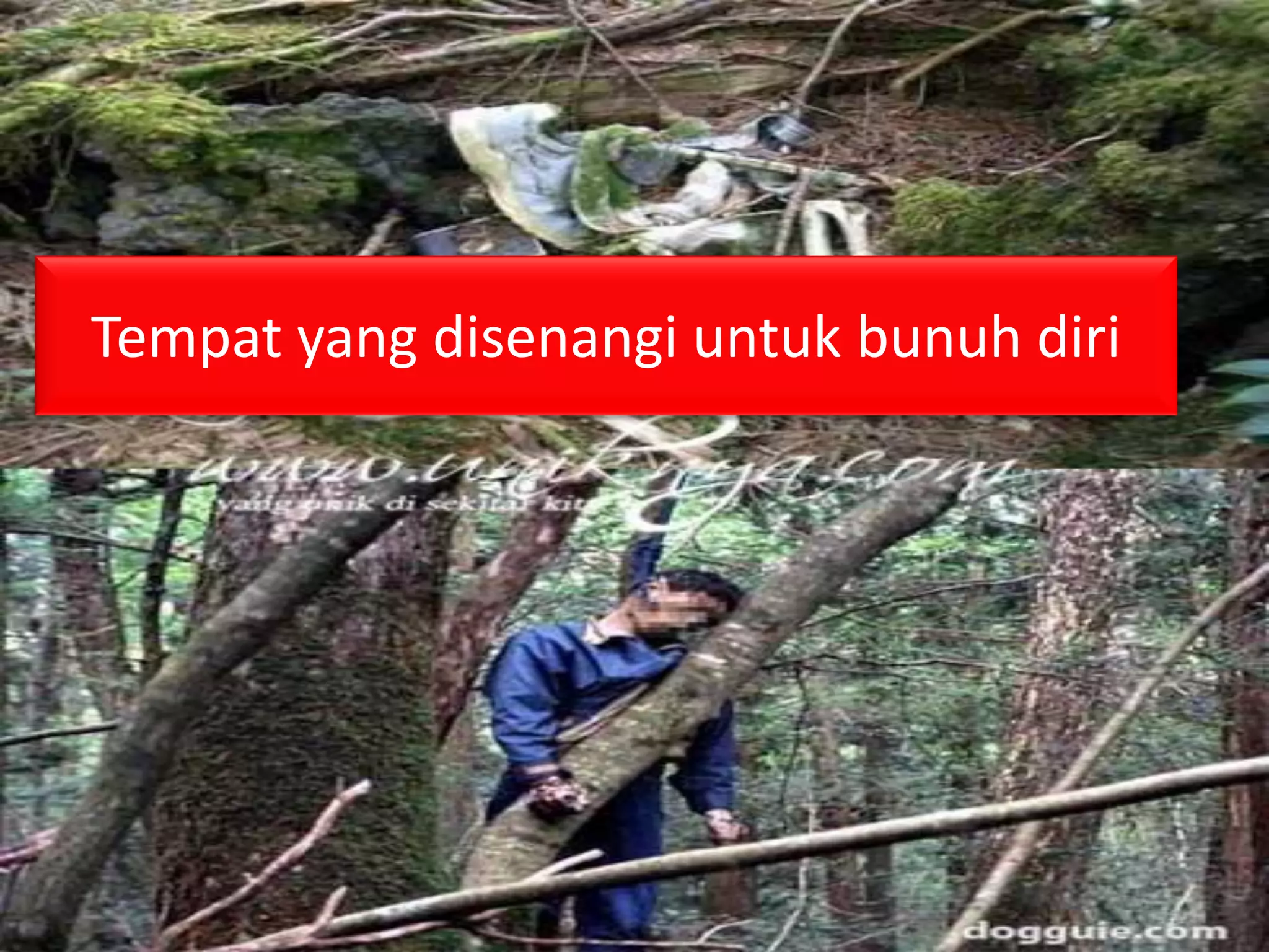 Bunuh diri ala jepang | PDF