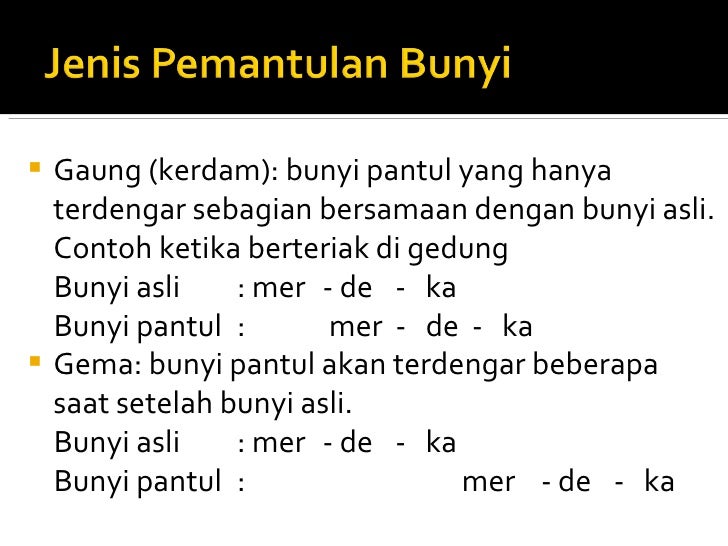 Bunyi Pantul Yang Terdengar Setelah Bunyi Asli Disebut Coba Sebutkan