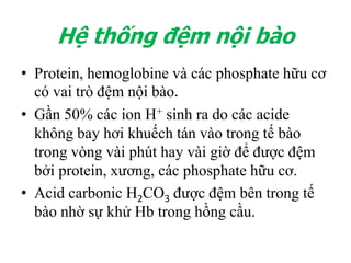 Hệ thống đệm ngoại bào
• Hệ thống bicarbonate-acid carbonic :
CO2 + H2O ↔ H2CO3 ↔ H+ + HCO3
-
 