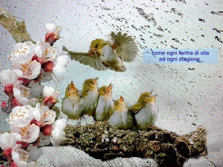 Buon Mese Di Aprile B