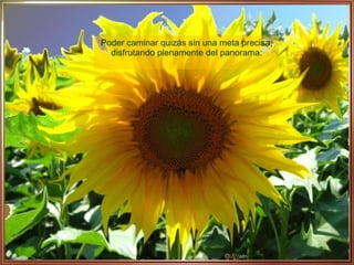 Poder caminar quizás sin una meta precisa, disfrutando plenamente del panorama: 