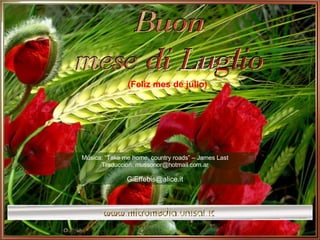 Música: “Take me home, country roads” – James Last Traduccion: mussonor@hotmail.com.ar [email_address] (Feliz mes de julio) 