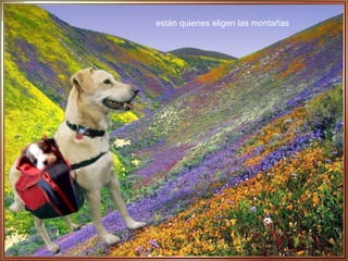 están quienes eligen las montañas 