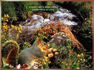 a quien vale la pena restituir prontamente la visita;  