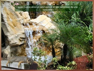 quien busca alivio al calor estival en las cercanías de una cascada 