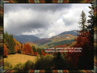 Le nuvole, spesso gonfie di pioggia, appaiono minacciose all’orizzonte 