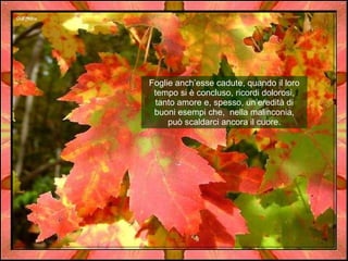 Foglie anch’esse cadute, quando il loro tempo si è concluso, ricordi dolorosi, tanto amore e, spesso, un’eredità di buoni esempi che,  nella malinconia, può scaldarci ancora il cuore.  