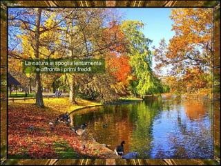 La natura si spoglia lentamente  e affronta i primi freddi 
