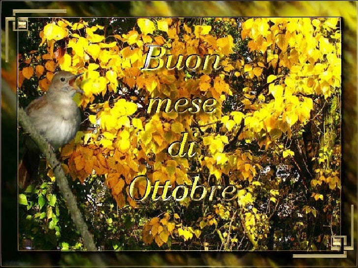 Buon Mese Di Ottobre B Buon Mese Di Ottobre B