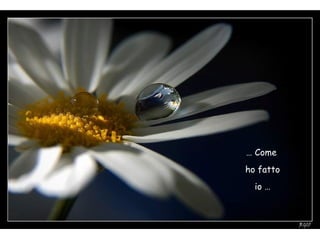 … Come
ho fatto
io …
 