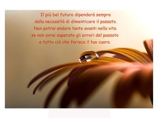 Il più bel futuro dipenderà sempre
dalla necessità di dimenticare il passato.
Non potrai andare tanto avanti nella vita
se non avrai superato gli errori del passato
e tutto ciò che ferisce il tuo cuore.
 