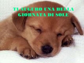TI AUGURO UNA BELLA
GIORNATA DI SOLE

 