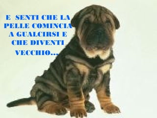 E SENTI CHE LA
PELLE COMINCIA
A GUALCIRSI E
CHE DIVENTI
VECCHIO...

 