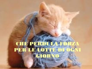 CHE PERDI LA FORZA
PER LE LOTTE DI OGNI
GIORNO

 