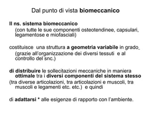 Dal punto di vista biomeccanico

Il ns. sistema biomeccanico
   (con tutte le sue componenti osteotendinee, capsulari,
   legamentose e miofasciali)

costituisce una struttura a geometria variabile in grado
  (grazie all’organizzazione dei diversi tessuti e al
  controllo del snc.)

di distribuire le sollecitazioni meccaniche in maniera
   ottimale tra i diversi componenti del sistema stesso
(tra diverse articolazioni, tra articolazioni e muscoli, tra
   muscoli e legamenti etc. etc.) e quindi

di adattarsi * alle esigenze di rapporto con l’ambiente.
 