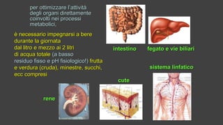 per ottimizzare l’attivitàper ottimizzare l’attività
degli organi direttamentedegli organi direttamente
coinvolti nei processicoinvolti nei processi
metabolici,metabolici,
intestinointestino fegato e vie biliarifegato e vie biliari
renerene
cutecute
sistema linfaticosistema linfatico
è necessario impegnarsi aè necessario impegnarsi a berebere
durante la giornatadurante la giornata
dal litro e mezzo ai 2 litridal litro e mezzo ai 2 litri
di acqua totaledi acqua totale (a basso(a basso
residuo fisso e pH fisiologico!)residuo fisso e pH fisiologico!) fruttafrutta
e verdura (cruda), minestre, succhi,e verdura (cruda), minestre, succhi,
ecc compresiecc compresi
 