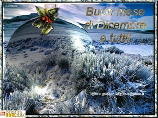 Testo e grafica:  [email_address] 