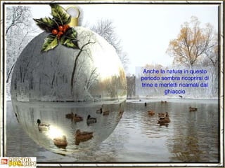Anche la natura in questo periodo sembra ricoprirsi di trine e merletti ricamati dal ghiaccio 