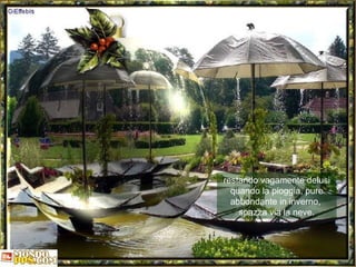 restando vagamente delusi quando la pioggia, pure abbondante in inverno,  spazza via la neve. 