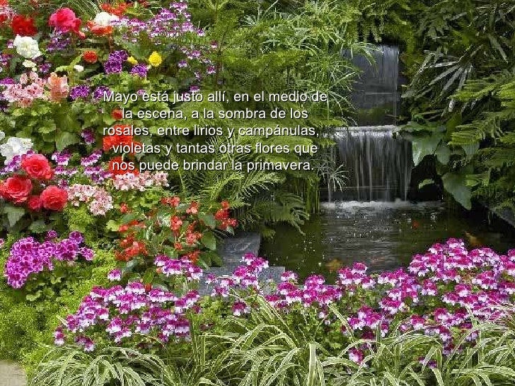 Resultado de imagen para feliz mes de mayo