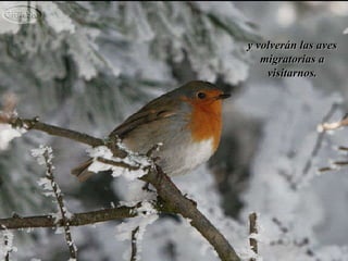 y volverán las aves migratorias a visitarnos. 