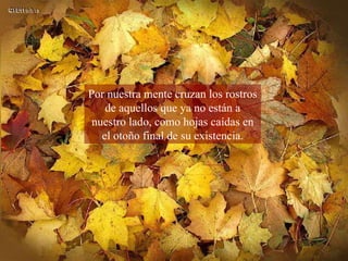 Por nuestra mente cruzan los rostros de aquellos que ya no están a nuestro lado, como hojas caídas en el otoño final de su existencia. 