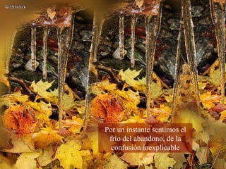 Por un instante sentimos el frío del abandono, de la confusión inexplicable 