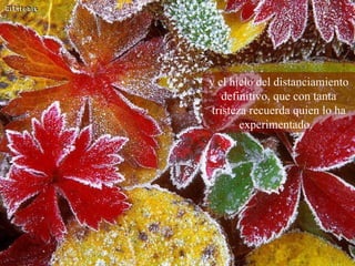 y el hielo del distanciamiento definitivo, que con tanta tristeza recuerda quien lo ha experimentado.  