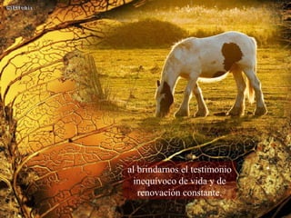 al brindarnos el testimonio inequívoco de vida y de renovación constante. 