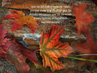 que no ha sido nunca en vano, porque cada una de ellas nos ha dejado vivencias que en un modo u otro habrán influenciado nuestro futuro. 