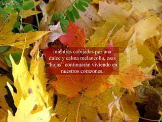 mientras cobijadas por una dulce y calma melancolía, esas “hojas” continuarán viviendo en nuestros corazones. 