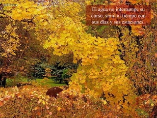 El agua no interrumpe su curso, símil al tiempo con sus días y sus estaciones. 