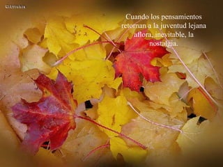 Cuando los pensamientos retornan a la juventud lejana aflora, inevitable, la nostalgia. 