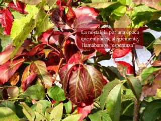 La nostalgia por una época que entonces, alegremente, llamábamos “esperanza”  